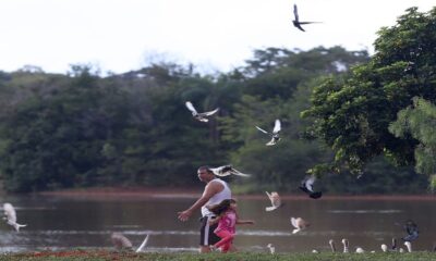 Piquenique em Brasília