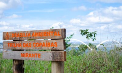 Foto da placa "Brasília Preservação Ambiental"