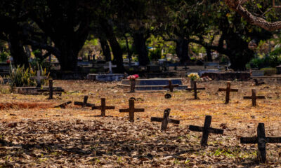 Dia de Finados: cemitério é destino dos que prestam luto aos falecidos