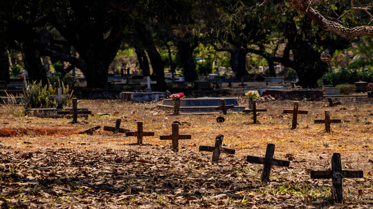 Dia de Finados: cemitério é destino dos que prestam luto aos falecidos